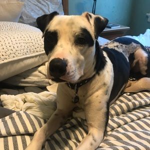 Meet your Posher, Haley